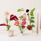 Dorothea Ikebana Trio