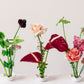Dorothea Ikebana Trio