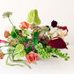 Colorful floral arrangement on a white background