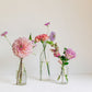 Trio of clear glass bud vases of light purple and light pink flowers, such as dahlias, stock, carnations, roses, scabiosa, and corncockle. 