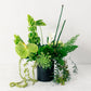Green floral arrangement on a white surface with a white background