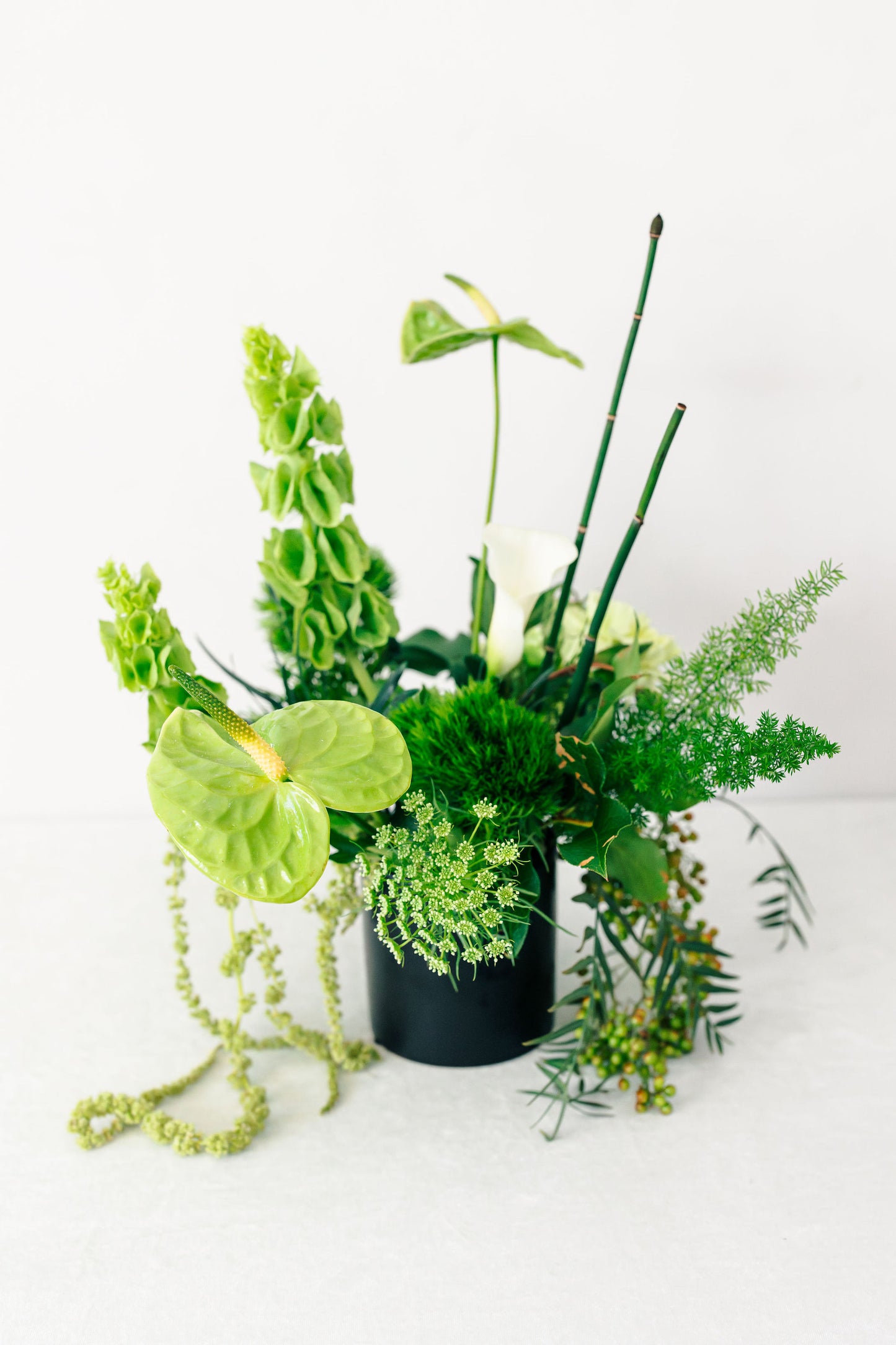 Green floral arrangement in a black pot on a white background