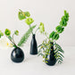 Three black vases with greenery on a white background