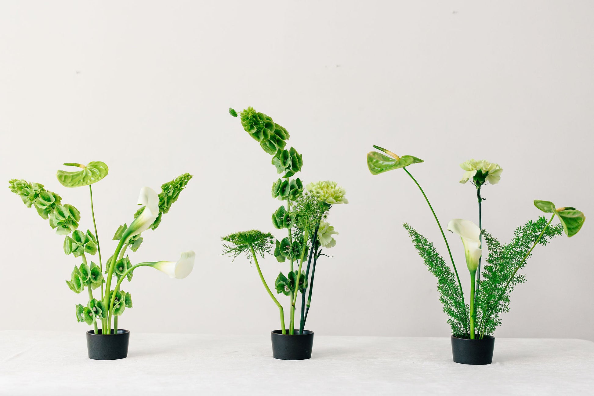 Three ikebana inspired arrangements in black pots on a white surface with a light gray background