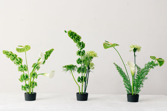 Three ikebana inspired arrangements in black pots on a white surface with a light gray background