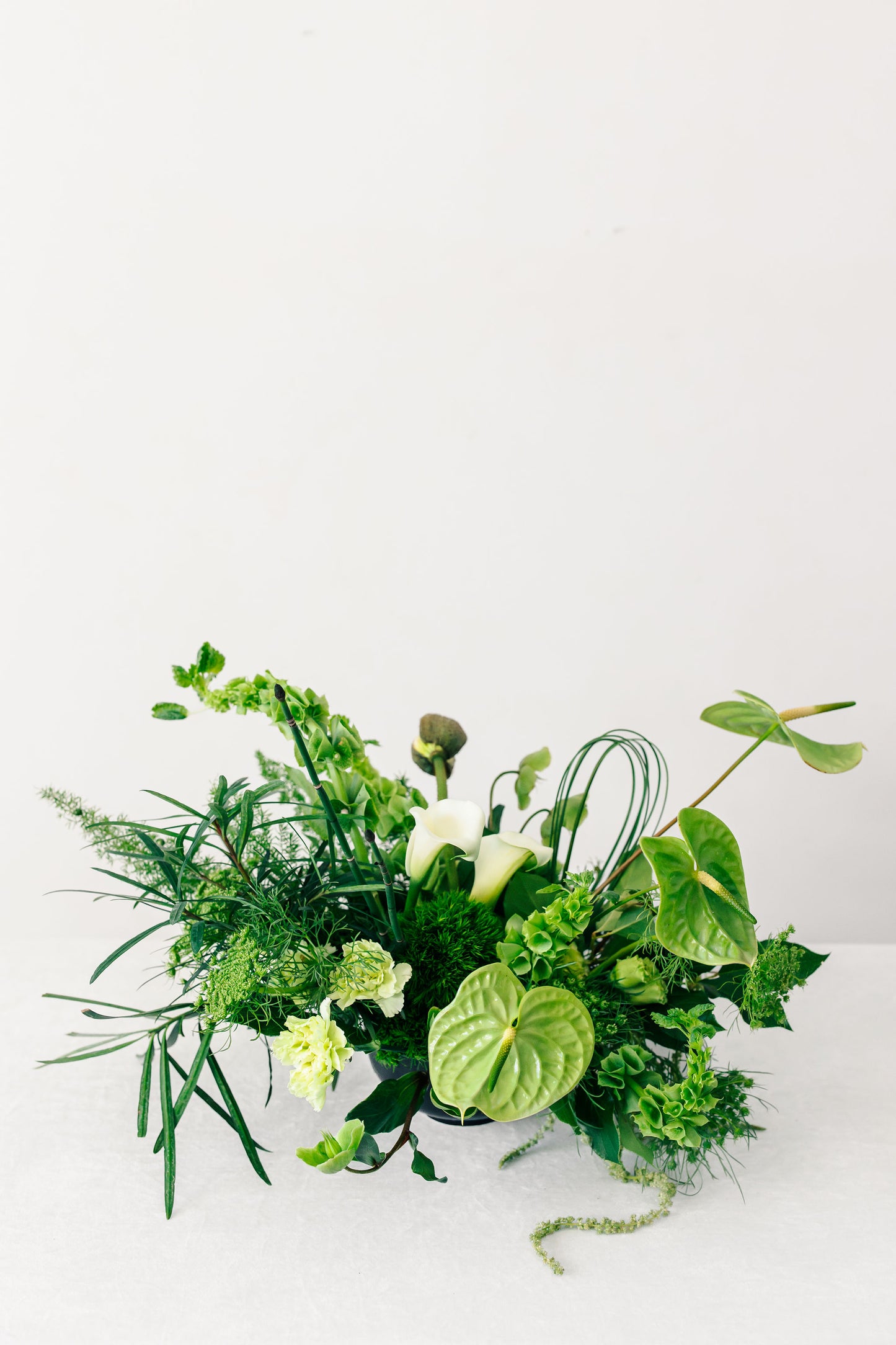 Arrangement of greenery and white flowers on a white background