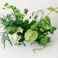 Green floral arrangement on a white background