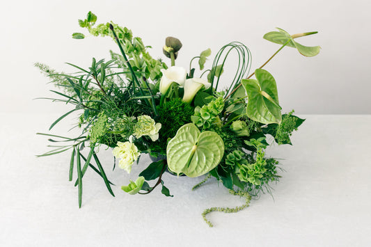 Green floral arrangement on a white background