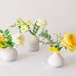 Yellow flowers in white bud vases on a white background
