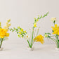 Honey Ikebana Trio