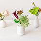 Dorothea Bud Vases
