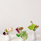 Dorothea Bud Vases
