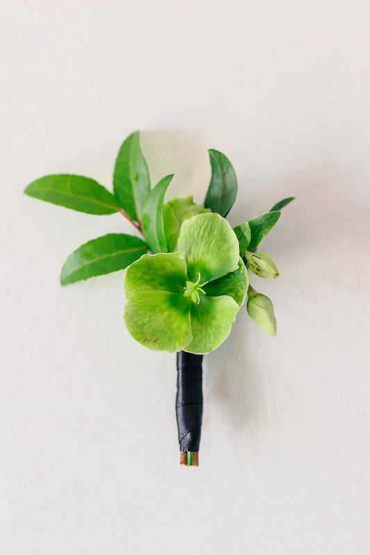Green floral boutonniere on a white background