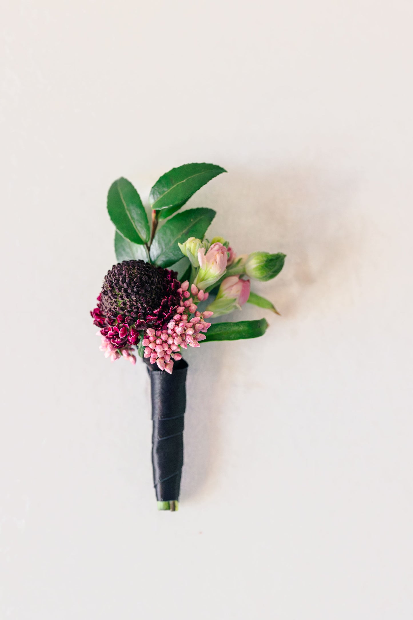 Dorothea Boutonniere