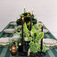 Decorative table setting with candles, plants, and striped tablecloth.