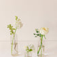 Enchanted Bud Vases